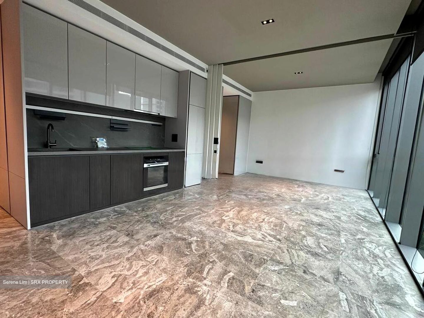 Cuscaden Reserve (D10), Condominium #587766071